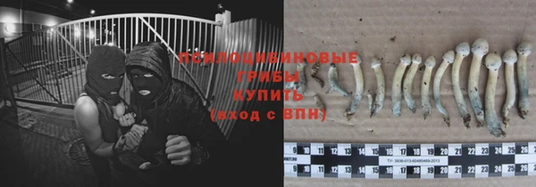 ПСИЛОЦИБИНОВЫЕ ГРИБЫ Богородицк